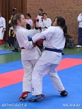 dmd20120401__NKWado-0864