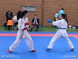 dmd20120401__NKWado-0866