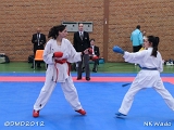 dmd20120401__NKWado-0867