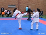 dmd20120401__NKWado-0868