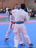 dmd20120401__NKWado-0902