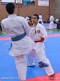 dmd20120401__NKWado-0904