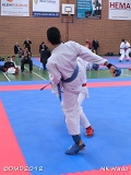 dmd20120401__NKWado-0906