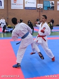 dmd20120401__NKWado-0907