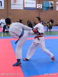 dmd20120401__NKWado-0908