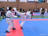 dmd20120401__NKWado-0910