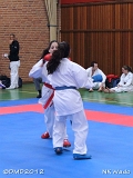 dmd20120401__NKWado-0914