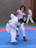 dmd20120401__NKWado-0943