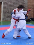 dmd20120401__NKWado-0946