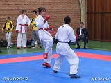 dmd20120401__NKWado-0951