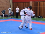 dmd20120401__NKWado-0962