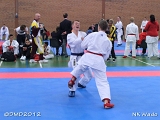 dmd20120401__NKWado-0971