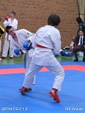 dmd20120401__NKWado-0974