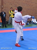 dmd20120401__NKWado-0975