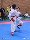 dmd20120401__NKWado-0976