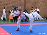 dmd20120401__NKWado-0981