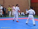 dmd20120401__NKWado-0986