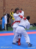 dmd20120401__NKWado-0993