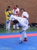 dmd20120401__NKWado-0995