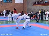 dmd20120401__NKWado-0999