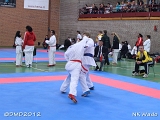 dmd20120401__NKWado-1002