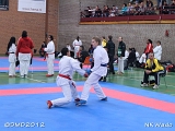 dmd20120401__NKWado-1004