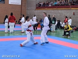 dmd20120401__NKWado-1005