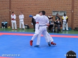 dmd20120401__NKWado-1013