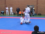 dmd20120401__NKWado-1015