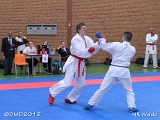 dmd20120401__NKWado-1017