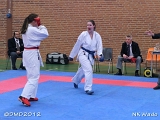 dmd20120401__NKWado-1039