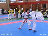 dmd20120401__NKWado-1051