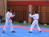 dmd20120401__NKWado-1054