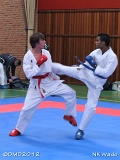 dmd20120401__NKWado-1055