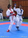 dmd20120401__NKWado-1059