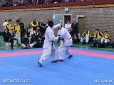 dmd20120401__NKWado-1064