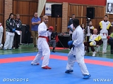 dmd20120401__NKWado-1065