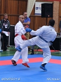 dmd20120401__NKWado-1067