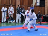 dmd20120401__NKWado-1069