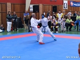 dmd20120401__NKWado-1071