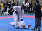 dmd20120401__NKWado-1072