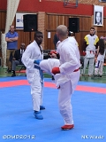 dmd20120401__NKWado-1074