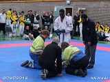 dmd20120401__NKWado-1075