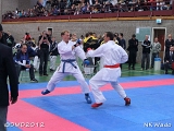 dmd20120401__NKWado-1078