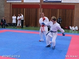 dmd20120401__NKWado-1087