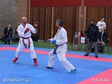 dmd20120401__NKWado-1100