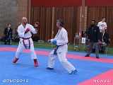 dmd20120401__NKWado-1100