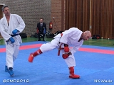 dmd20120401__NKWado-1105