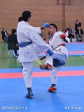 dmd20120401__NKWado-1109