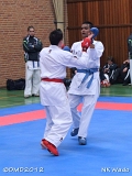 dmd20120401__NKWado-1113